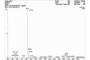 Image no. 1 for IgG3 peptide (Ovalbumin) (ABIN5666227) (IgG3 peptide (Ovalbumin))