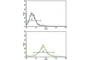 Flow cytometric analysis of HeLa cells using cKit antibody (green) compared to a negative control cell (blue). (KIT antibody  (AA 9-40))