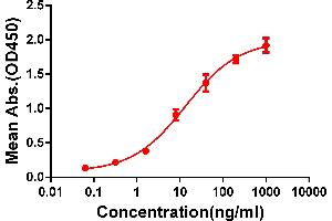 ELISA plate pre-coated by 2 μg/mL (100 μL/well) Human CD33 protein, hFc-His tagged protein ABIN6961110, ABIN7042249 and ABIN7042250 can bind Rabbit anti-CD33 monoclonal antibody  (clone: DM77) in a linear range of 1-100 ng/mL. (CD33 antibody  (AA 18-269))