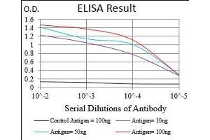 Black line: Control Antigen (100 ng), Purple line: Antigen(10 ng), Blue line: Antigen (50 ng), Red line: Antigen (100 ng), (Transferrin Receptor antibody  (AA 608-727))