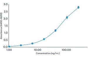 Standard curve (4PL) of the AccuSignal E. (HCP ELISA Kit)