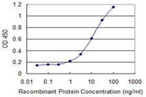 Detection limit for recombinant GST tagged SH3GL1 is 0. (SH3GL1 antibody  (AA 1-368))