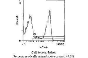 Mouse anti MHC Class II (RT1D) OX-17 (MHC Class II (RT1D) antibody (FITC))