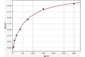 Amphiregulin ELISA Kit