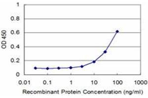 Detection limit for recombinant GST tagged PCBP2 is approximately 3ng/ml as a capture antibody. (PCBP2 antibody  (AA 1-362))