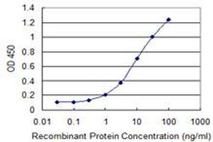 Detection limit for recombinant GST tagged CA5B is 0. (CA5B antibody  (AA 1-317))