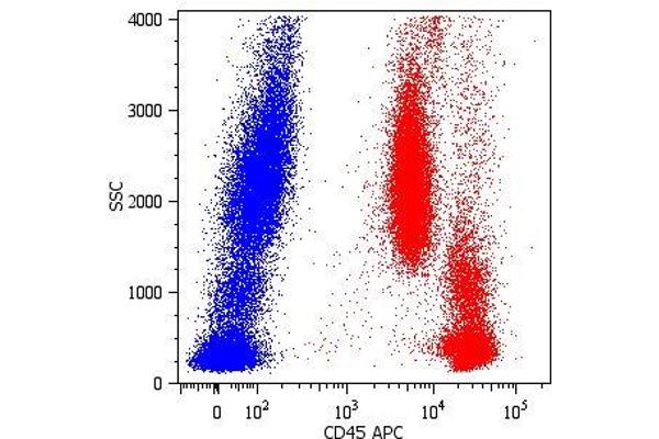 CD45 antibody