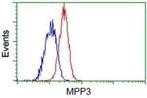 Flow Cytometry (FACS) image for anti-Membrane Protein, Palmitoylated 3 (MAGUK P55 Subfamily Member 3) (MPP3) antibody (ABIN1499547) (MPP3 antibody)