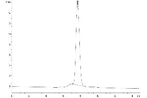 The purity of Biotinyated Human GARP&Latent TGF beta Complex is greater than 95 % as determined by SEC-HPLC. (GARP & Latent TGF beta 1 Complex (AA 20-628) protein (His-Avi Tag,Biotin))