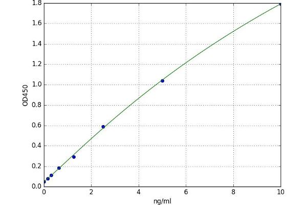 14-3-3 gamma ELISA Kit