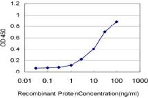 Detection limit for recombinant GST tagged CD34 is approximately 0. (CD34 antibody  (AA 32-141))