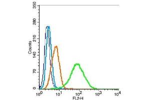 Flow Cytometry (FACS) image for anti-Partner and Localizer of BRCA2 (PALB2) (AA 1101-1186) antibody (ABIN670536)