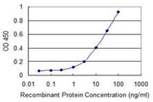 Detection limit for recombinant GST tagged EYS is 0. (EYS antibody  (AA 309-407))