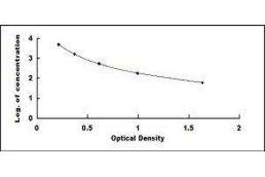 ELISA image for beta-Crosslaps (bCTx) ELISA Kit (ABIN416117) (beta-Crosslaps (bCTx) ELISA Kit)