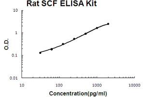 Rat SCF Accusignal ELISA Kit Rat SCF AccuSignal ELISA Kit standard curve. (KIT Ligand ELISA Kit)