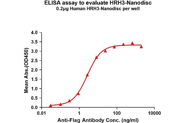 HRH3 Protein