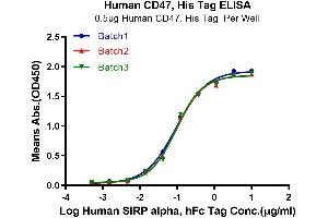 ELISA image for CD47 (CD47) (AA 19-139) protein (His tag) (ABIN7274220)