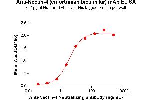 ELISA plate pre-coated by 2 μg/mL (100 μL/well) Human NECTIN-4 Protein, His Tag ABIN6964194, ABIN7042647 and ABIN7042648 can bind Anti-Nectin-4 Neutralizing antibody (ABIN7477991 and ABIN7490922) in a linear range of 0. (Recombinant Nectin-4 (Enfortumab Biosimilar) antibody)