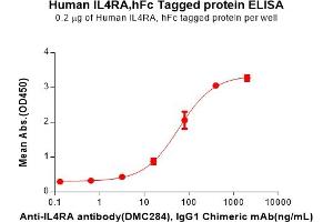 ELISA plate pre-coated by 2 μg/mL (100 μL/well) Human IL4RA Protein, hFc Tag(ABIN6964129, ABIN7042537 and ABIN7042538) can bind Anti-IL4RA antibody, IgG1 Chimeric mAb in a linear range of 16. (IL4 Receptor Protein (AA 26-232) (Fc Tag))