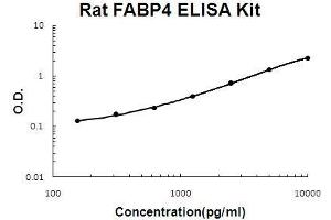 Rat FABP4 PicoKine ELISA Kit standard curve (FABP4 ELISA Kit)