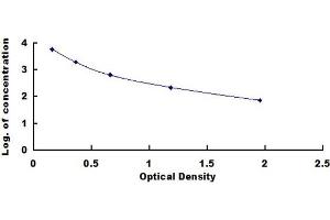 ELISA image for Reverse Triiodothyronine T3 (rT3) ELISA Kit (ABIN415134) (rT3 ELISA Kit)