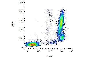 Flow cytometry analysis (surface staining) of human peripheral blood leukocytes with anti-human CD157 (SY11B5) APC. (BST1 antibody  (APC))