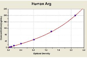 Diagramm of the ELISA kit to detect Human Argwith the optical density on the x-axis and the concentration on the y-axis. (Liver Arginase ELISA Kit)