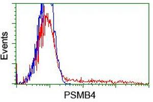 HEK293T cells transfected with either RC205723 overexpress plasmid (Red) or empty vector control plasmid (Blue) were immunostained by anti-PSMB4 antibody (ABIN2455032), and then analyzed by flow cytometry. (PSMB4 antibody)