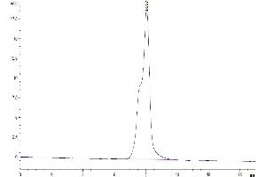 Size-exclusion chromatography-High Pressure Liquid Chromatography (SEC-HPLC) image for Lymphotoxin beta Receptor (TNFR Superfamily, Member 3) (LTBR) (AA 31-227) protein (Fc Tag) (ABIN7275218)