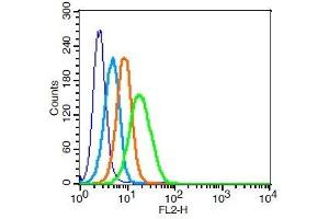 Flow Cytometry (FACS) image for anti-Chemokine (C-X-C Motif) Receptor 4 (CXCR4) (AA 201-294) antibody (ABIN730888)