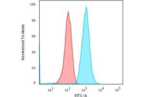 Flow Cytometric Analysis of Raji cells using CD79a Rabbit Recombinant Monoclonal Antibody (IGA/1790R ) followed by Goat anti-Mouse IgG-CF488 (Blue); Isotype Control (Red). (Recombinant CD79a antibody  (AA 202-216))