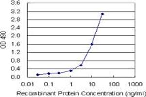 Sandwich ELISA detection sensitivity ranging from 1 ng/mL to 100 ng/mL. (CD3E (Human) Matched Antibody Pair)