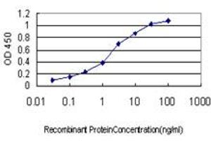 Detection limit for recombinant GST tagged FLJ23834 is approximately 0. (CDHR3 antibody  (AA 776-885))