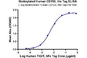 ELISA image for Poliovirus Receptor (PVR) (AA 21-343) protein (His-Avi Tag,Biotin) (ABIN7274081)