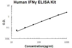 ELISA image for Interferon gamma (IFNG) ELISA Kit (ABIN6719836)