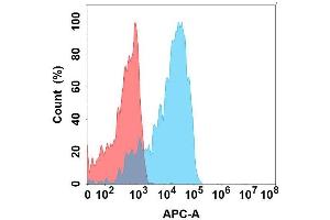 Flow cytometry analysis with Anti-GP6 on Expi293 cells transfected with human GP6 (Blue histogram) or Expi293 transfected with irrelevant protein (Red histogram). (GP6 antibody)