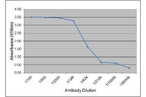 ELISA image for anti-Luteinizing Hormone (LH) antibody (ABIN2475368) (Luteinizing Hormone antibody)