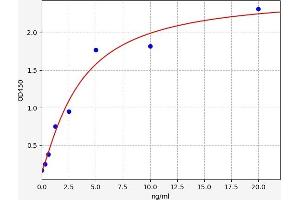 Hexokinase 2 ELISA Kit