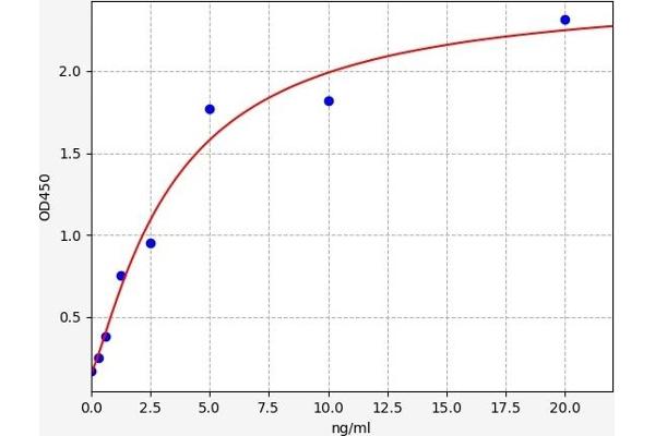 Hexokinase 2 ELISA Kit