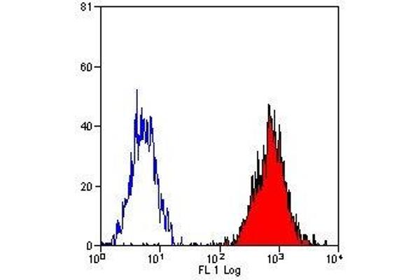 HLA B7 antibody  (PE)