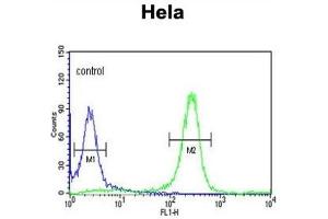 Flow Cytometry (FACS) image for anti-FYN Oncogene Related To SRC, FGR, YES (FYN) antibody (ABIN3003446) (FYN antibody)