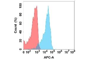 Flow cytometry analysis with Anti-SL on Expi293 cells transfected with human SL (Blue histogram) or Expi293 transfected with irrelevant protein (Red histogram). (SLAMF1 antibody)