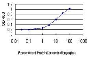 Detection limit for recombinant GST tagged GKP3 is approximately 0. (GK3P antibody  (AA 1-553))