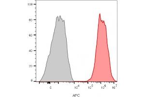 Flow Cytometry (FACS) image for anti-CD81 (CD81) antibody (ABIN6941281)