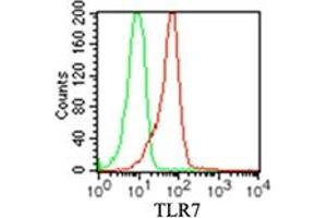 TLR7 Flow Cytometry Flow Cytometry of Mouse Anti-TLR7 antibody. (TLR7 antibody)