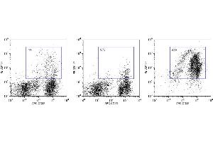 Flow Cytometry (FACS) image for Anti-Mouse CD117 Magnetic Particles (ABIN1305234) (Anti-Mouse CD117 Magnetic Particles)