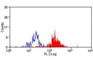 Flow Cytometry (FACS) image for anti-Signal-Regulatory Protein alpha (SIRPA) antibody (ABIN2478785) (SIRPA antibody)