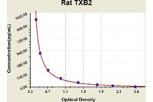 Diagramm of the ELISA kit to detect Rat TXB2with the optical density on the x-axis and the concentration on the y-axis. (Thromboxane B2 ELISA Kit)