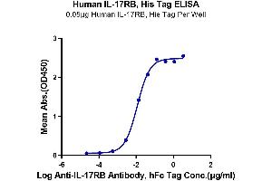 ELISA image for Interleukin 17 Receptor B (IL17RB) (AA 18-292) protein (His tag) (ABIN7274891)