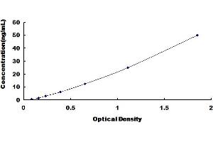 Typical Standard Curve for Rat F1 ELISA. (F6 ELISA Kit)